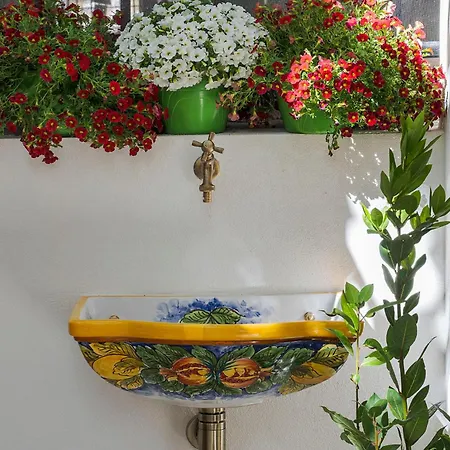 Elysium Boutique - *